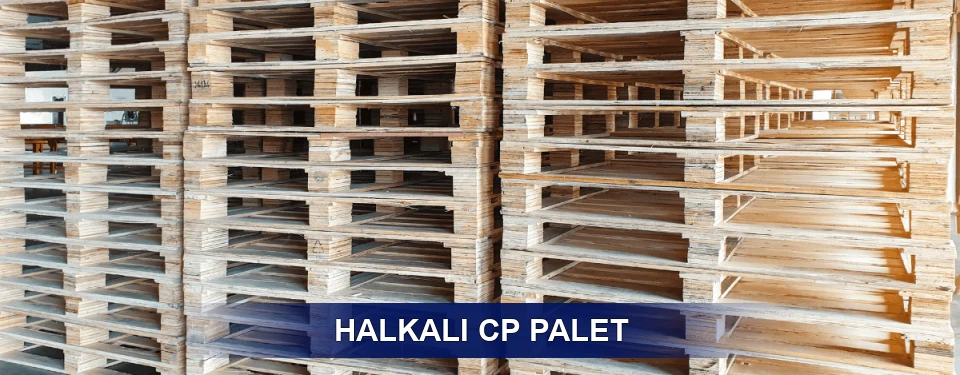 Halkalı Standart Tipler