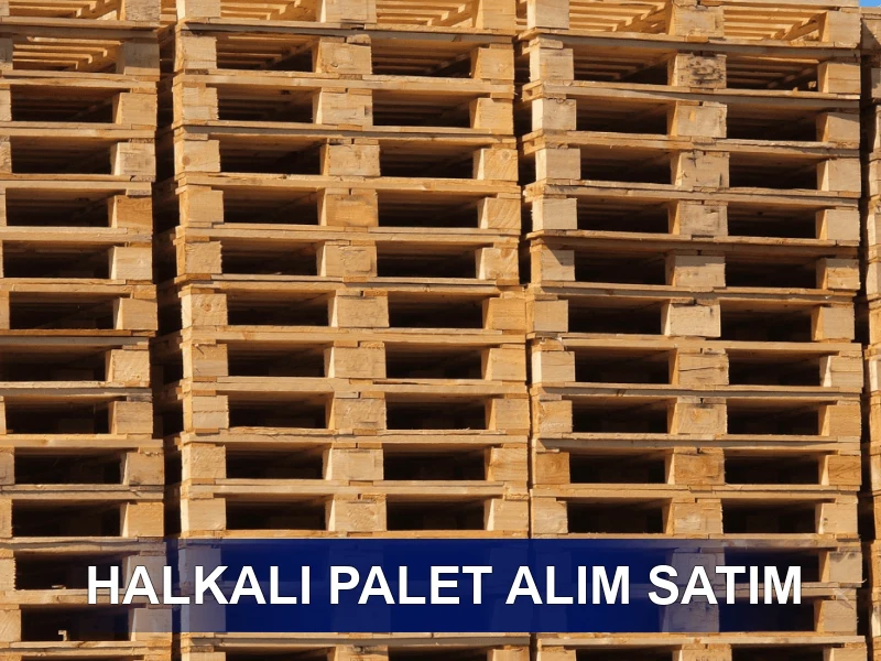 Halkalı Palet Galeri 3