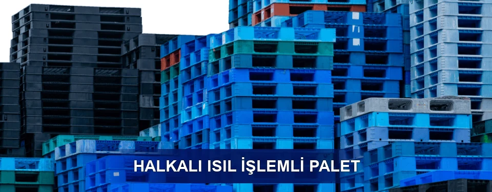 Halkalı İşaretleme