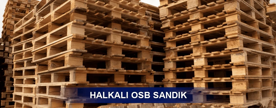 Halkalı Ölçü Planı