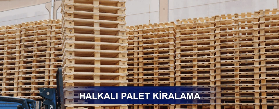 Halkalı Uzun Dönem